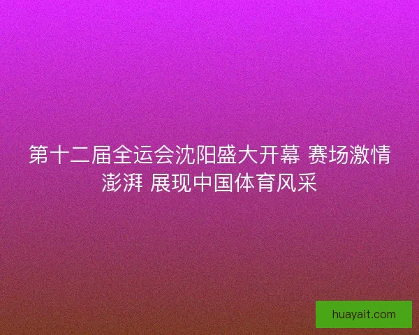 第十二届全运会沈阳盛大开幕 赛场激情澎湃 展现中国体育风采
